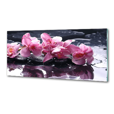 Panel do kuchyne Ružová orchidea