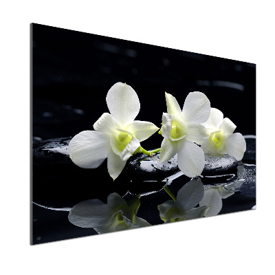 Sklenený panel do kuchynskej linky Orchidea