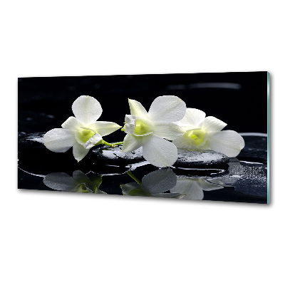 Sklenený panel do kuchynskej linky Orchidea