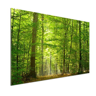 Panel do kuchyne Listnatý strom