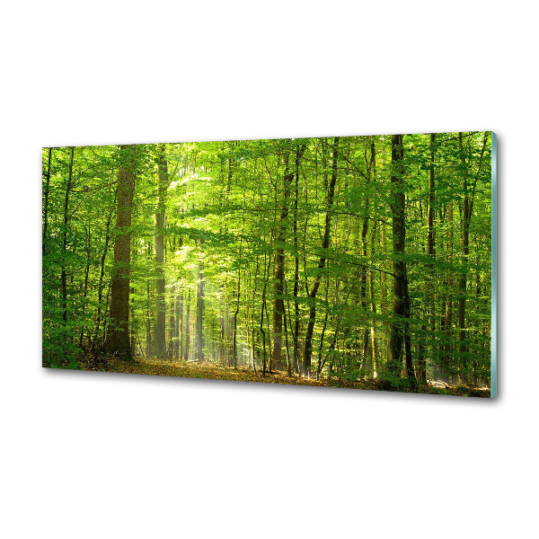 Panel do kuchyne Listnatý strom