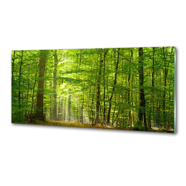 Panel do kuchyne Listnatý strom