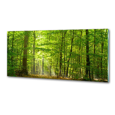 Panel do kuchyne Listnatý strom