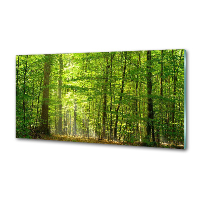 Panel do kuchyne Listnatý strom