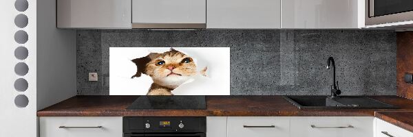 Panel do kuchyne Mačka v diere