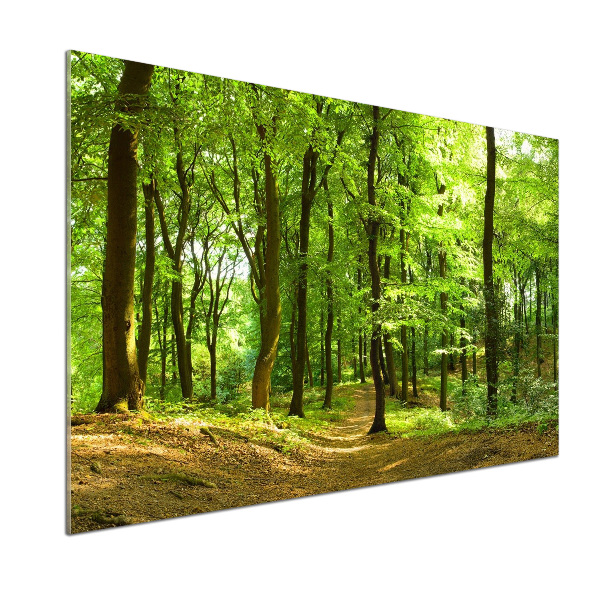 Panel do kuchyne Lesný chodník