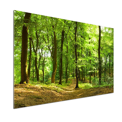 Panel do kuchyne Lesný chodník