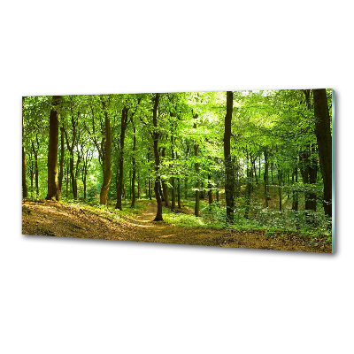 Panel do kuchyne Lesný chodník
