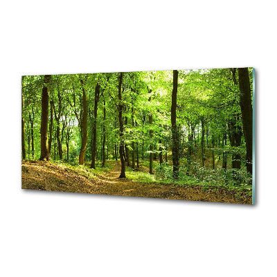 Panel do kuchyne Lesný chodník
