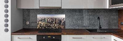Panel lacobel New York vtáčie pohľad