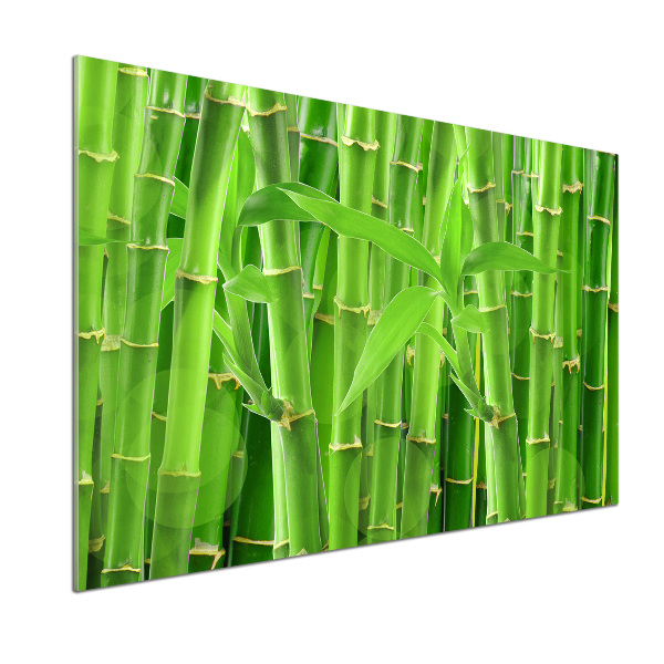 Sklenený panel do kuchyne Bambusy