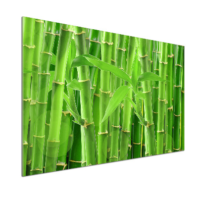 Sklenený panel do kuchyne Bambusy