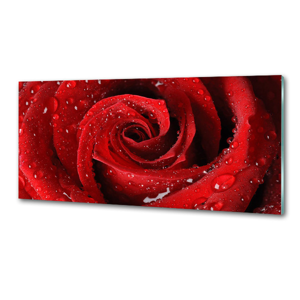 Panel do kuchyne Kvapky na ružu