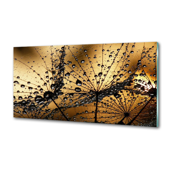 Panel do kuchyne Semeno púpavy
