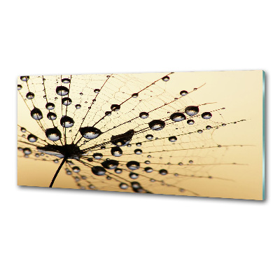 Panel do kuchyne Semeno púpavy