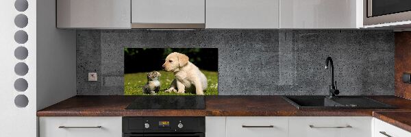 Panel do kuchyne Pes a mačka na lúke