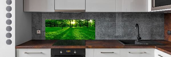 Panel do kuchyne Tráva v parku