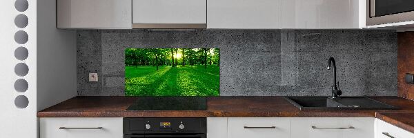 Panel do kuchyne Tráva v parku