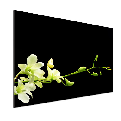 Sklenený panel do kuchynskej linky Orchidea