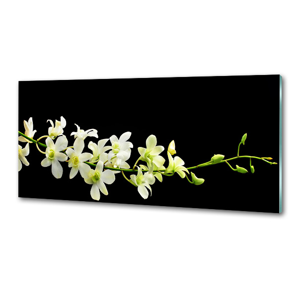 Sklenený panel do kuchynskej linky Orchidea