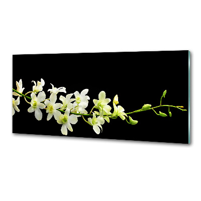Sklenený panel do kuchynskej linky Orchidea