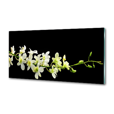 Sklenený panel do kuchynskej linky Orchidea