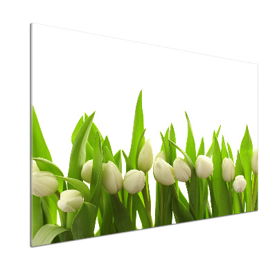 Panel do kuchyne Biele tulipány