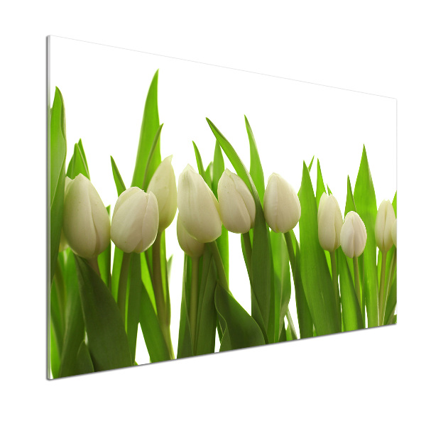 Panel do kuchyne Biele tulipány