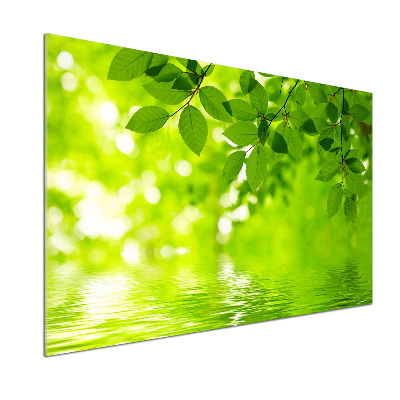 Panel do kuchyne Zelené lístie