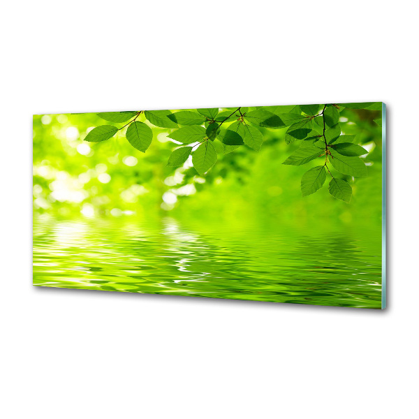 Panel do kuchyne Zelené lístie