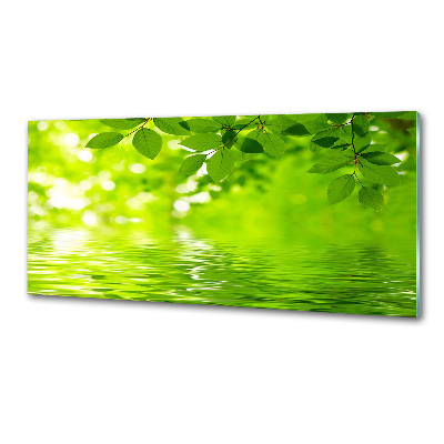 Panel do kuchyne Zelené lístie