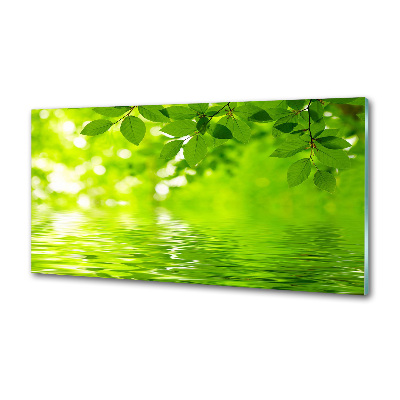 Panel do kuchyne Zelené lístie