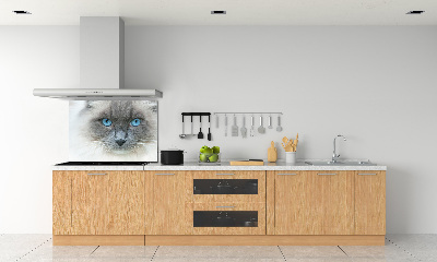Panel lacobel Mačka modré oči