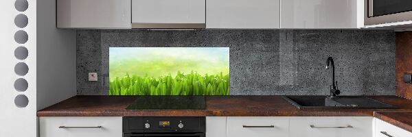 Sklenený panel do kuchyne Tráva