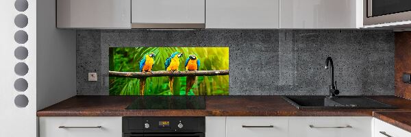 Panel do kuchyne Papagáje na vetve