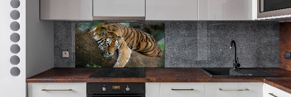 Panel do kuchyne Tiger na strome