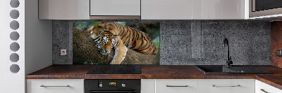 Panel do kuchyne Tiger na strome