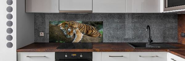 Panel do kuchyne Tiger na strome