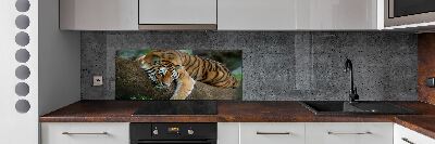 Panel do kuchyne Tiger na strome