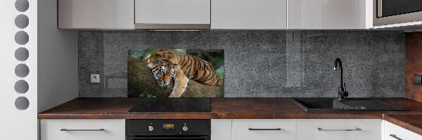 Panel do kuchyne Tiger na strome
