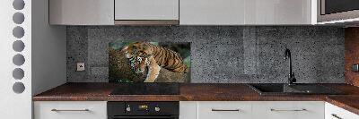 Panel do kuchyne Tiger na strome