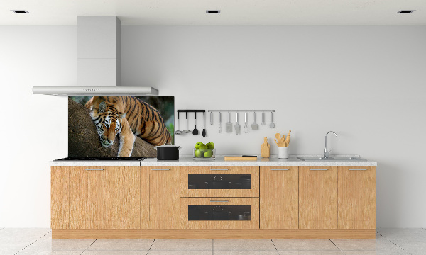 Panel do kuchyne Tiger na strome