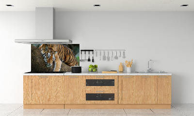 Panel do kuchyne Tiger na strome