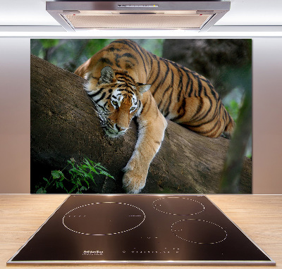Panel do kuchyne Tiger na strome
