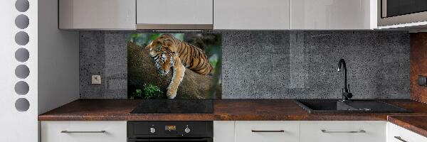 Panel do kuchyne Tiger na strome