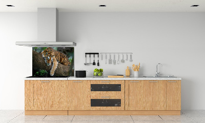 Panel do kuchyne Tiger na strome