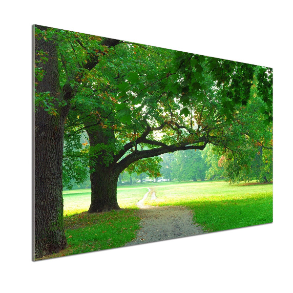 Panel do kuchyne Jesenný park