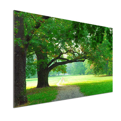 Panel do kuchyne Jesenný park