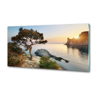 Panel do kuchyne Strom nad morom