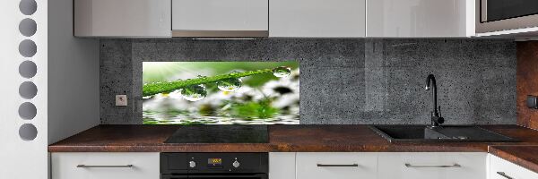 Panel do kuchyne Kvapky na tráve